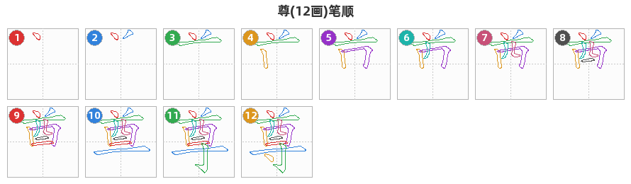 尊笔顺分解图