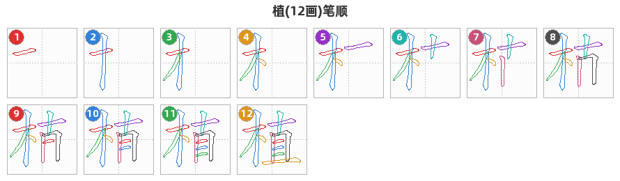 植笔顺分解图