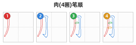 肉笔顺分解图