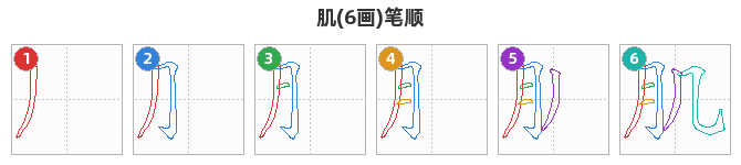 肌笔顺分解图