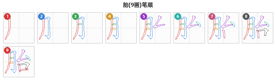 胎笔顺分解图