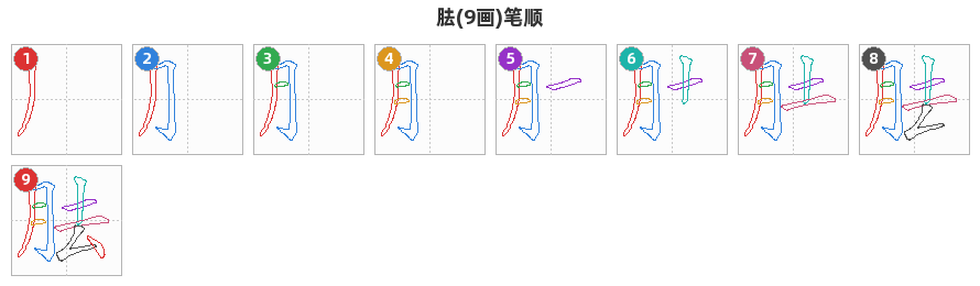 胠笔顺分解图
