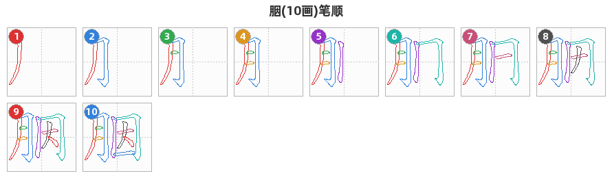 胭笔顺分解图