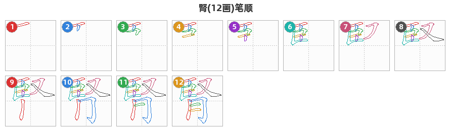 腎笔顺分解图