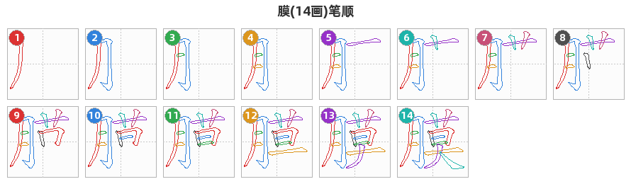 膜笔顺分解图