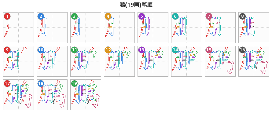 鵬笔顺分解图